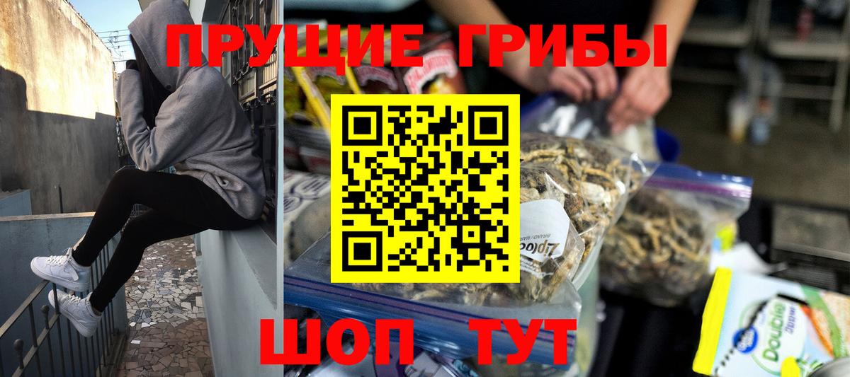 Галлюциногенные грибы MAGIC MUSHROOMS  Вход с VPN  Бутурлиновка 